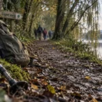 Balade Nantes près de l’Erdre, sentier boisé humide