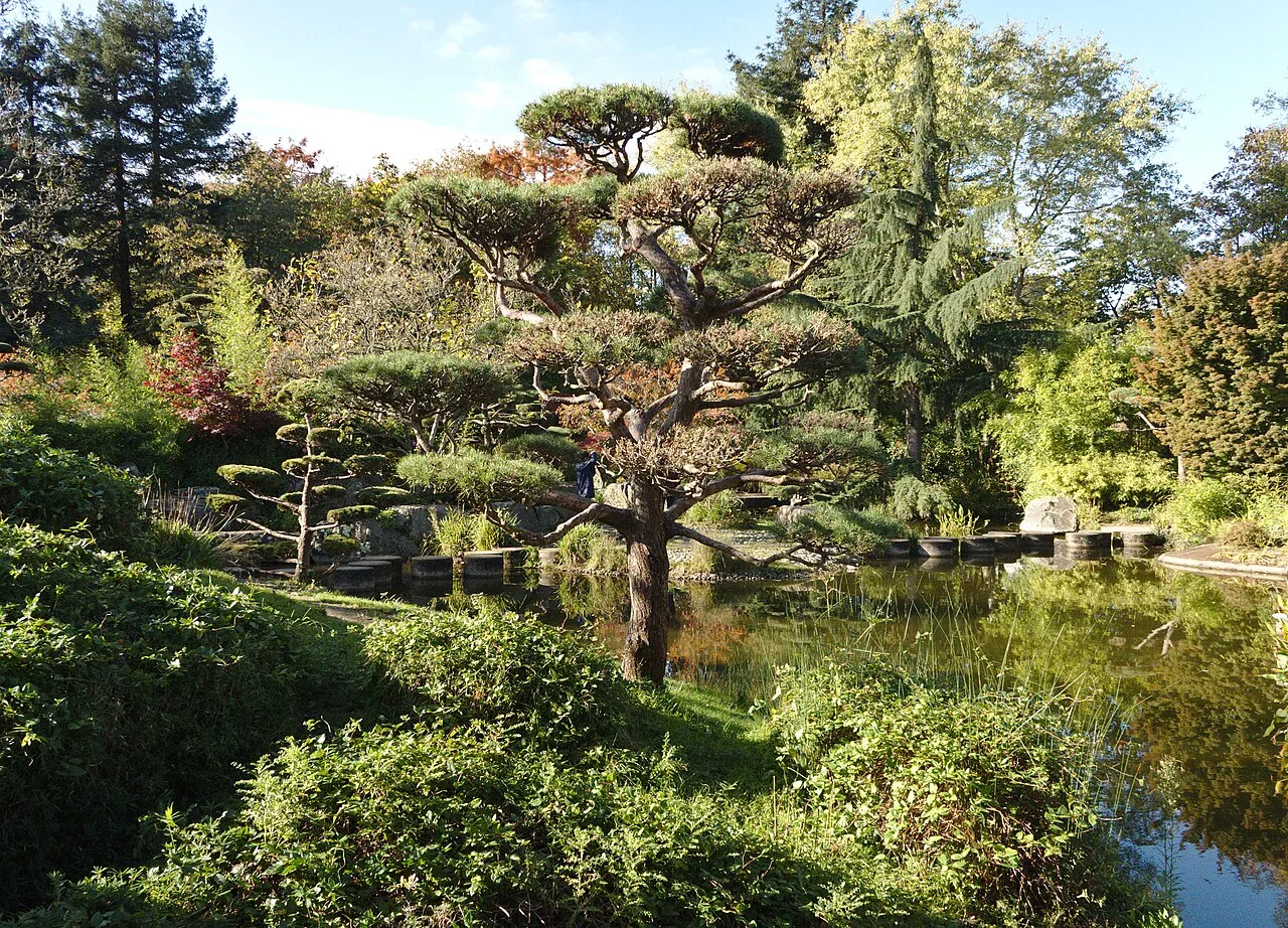 Ile de Versailles à Nantes