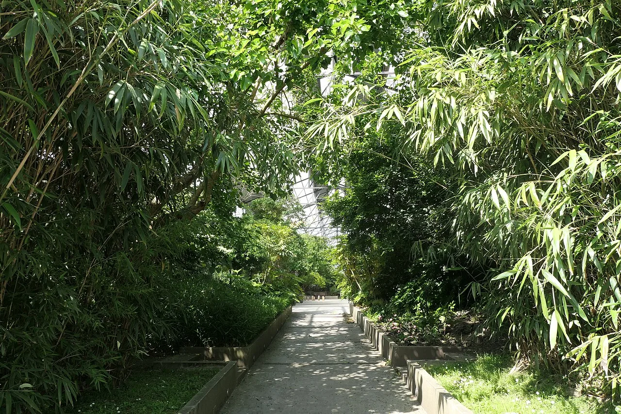 Jardin des Fonderies à Nantes