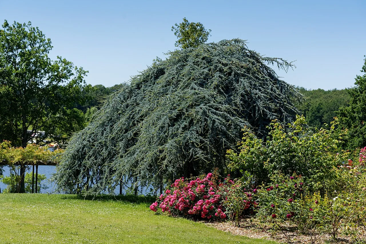 Vue du parc floral de la Beaujoire à Nantes